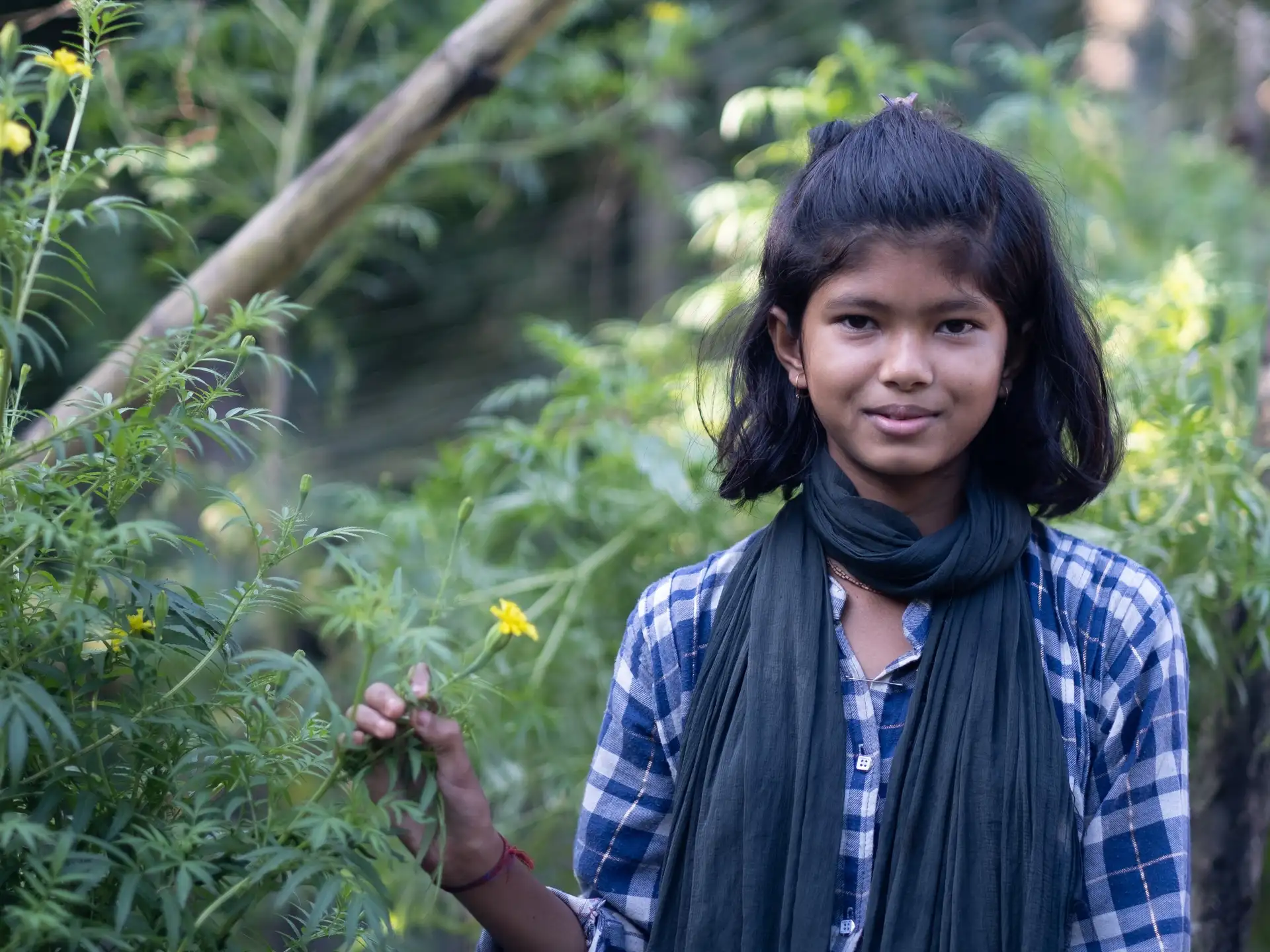 Asia_Bangladesh_Toma