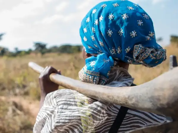 Stations of the Cross