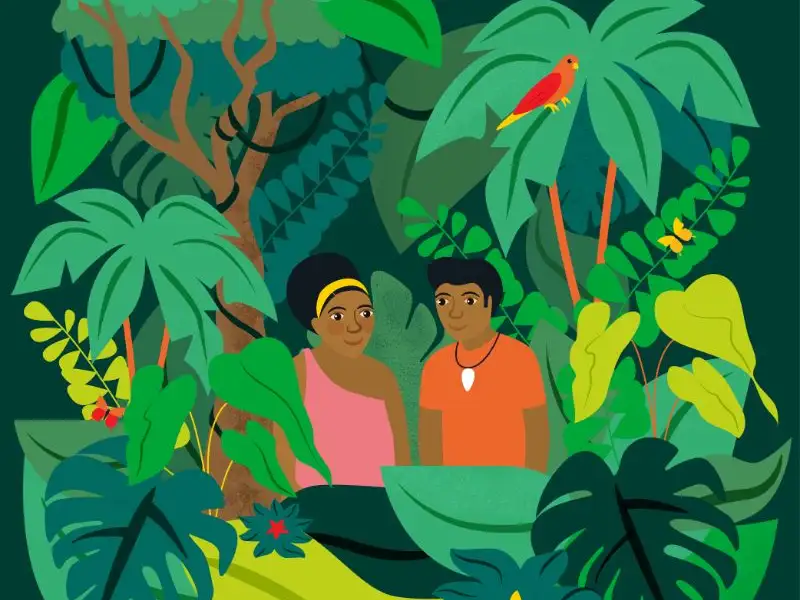 Restore the rainforest