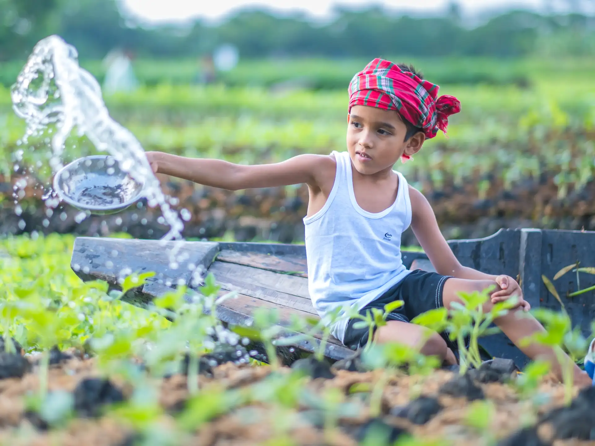 Lent primary resources