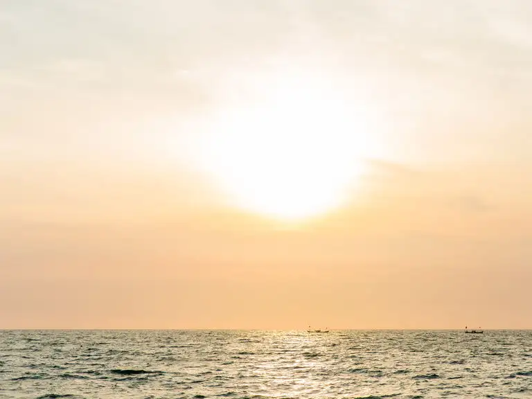 St Francis novena day 1