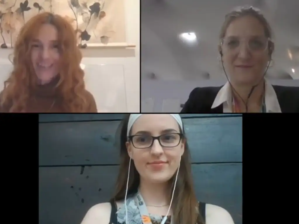 COP30 webinar snip.jpg