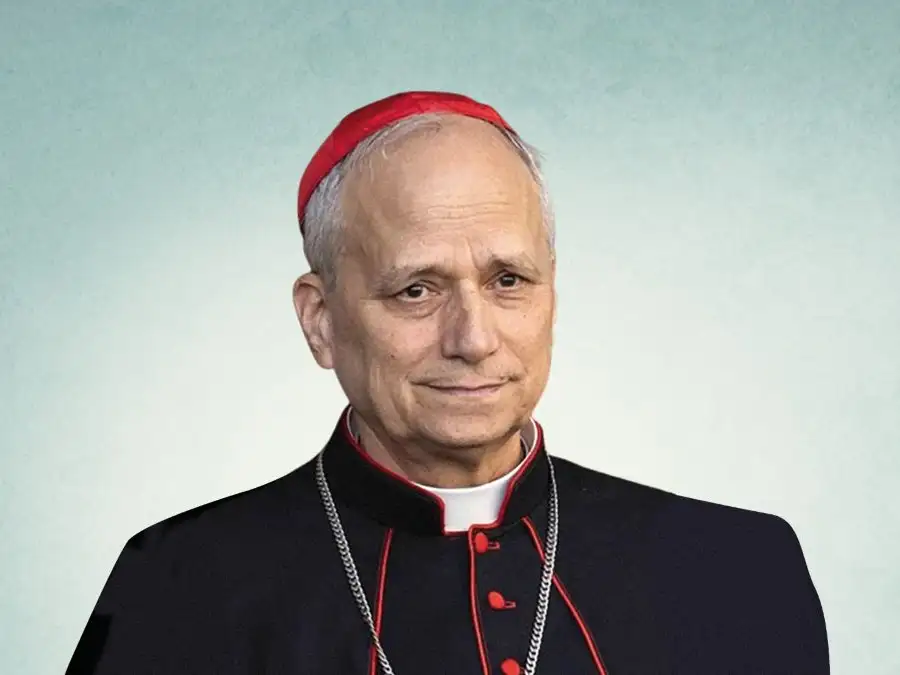 Pope Leo XIV for schools