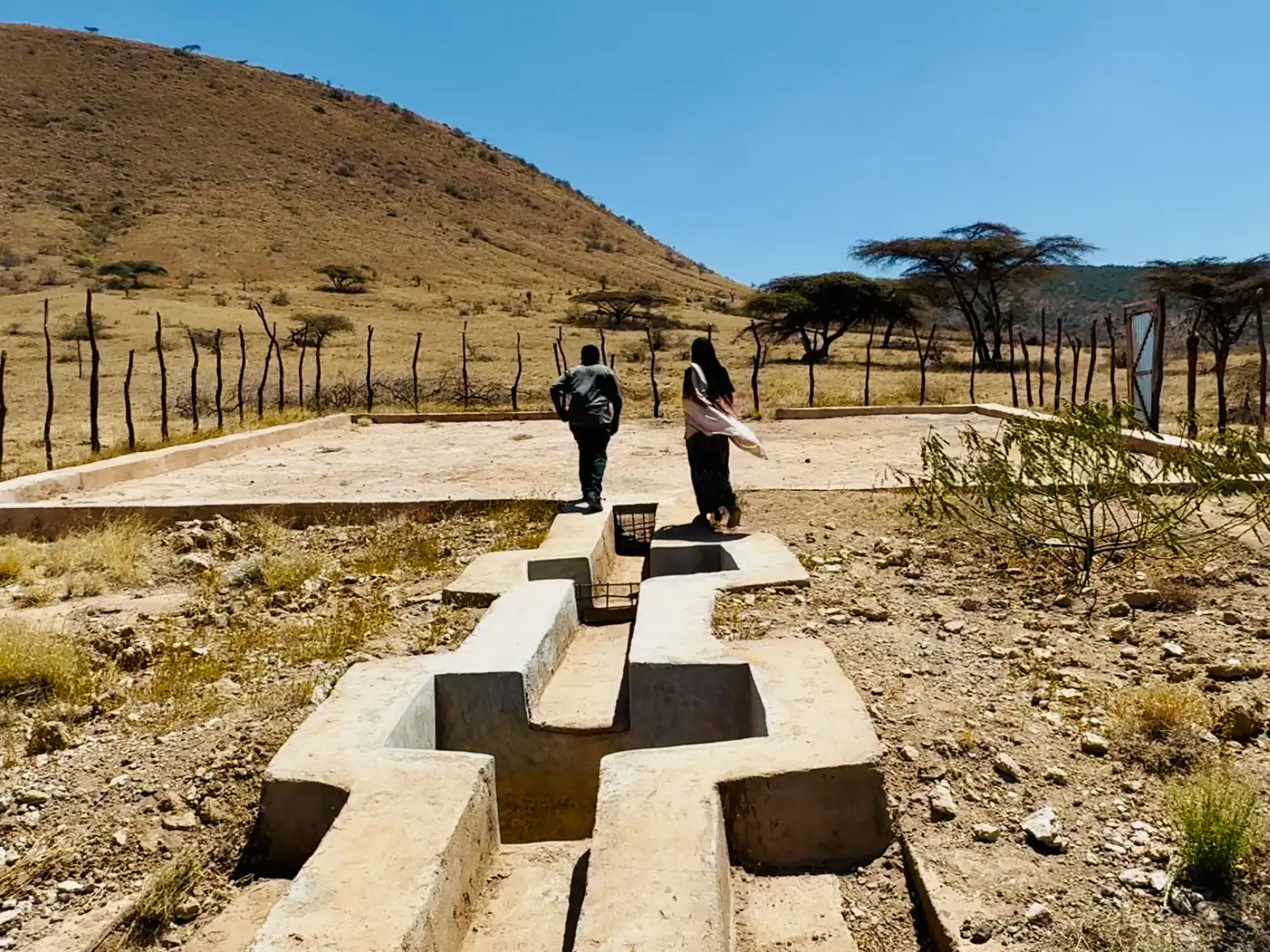 Primary film: A better world needs all of us