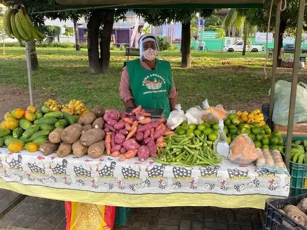 How special farming techniques have helped a community in Brazil during the pandemic