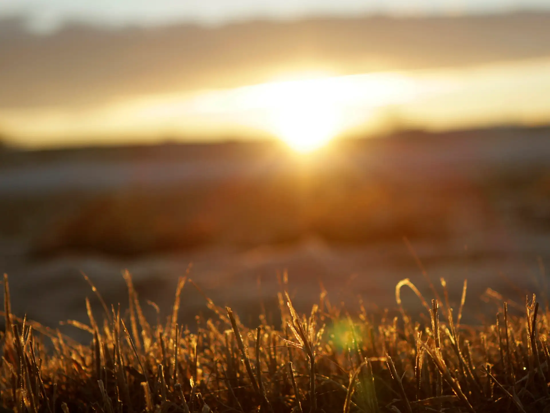 The light of God's promise