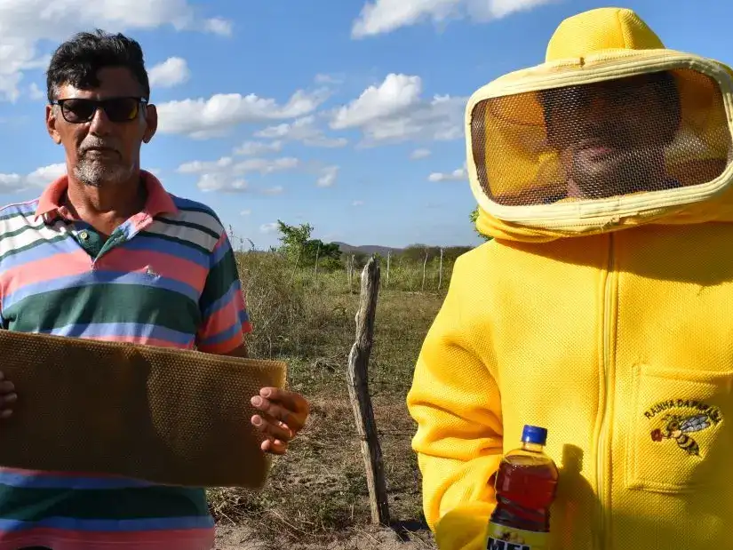 Advent calendar 2024 - 6 December