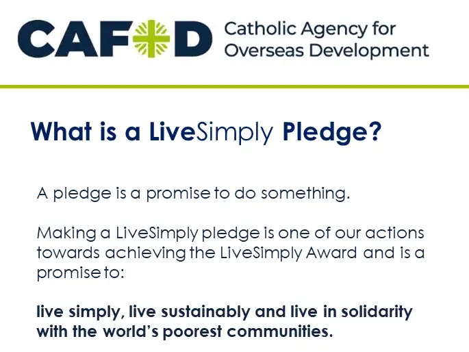 LiveSimply pledge resources