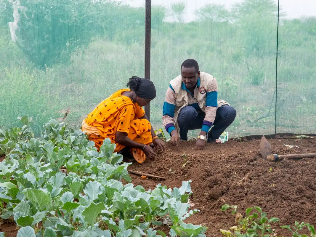 Kenya