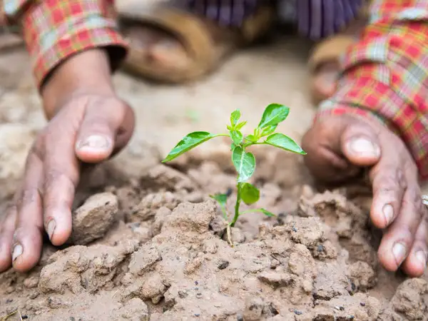 Trumpets herald change