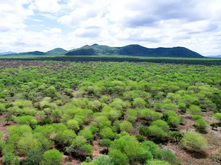 Lent calendar 11 March