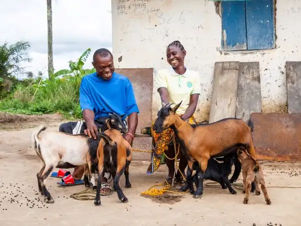 A Christian prayer in union with creation