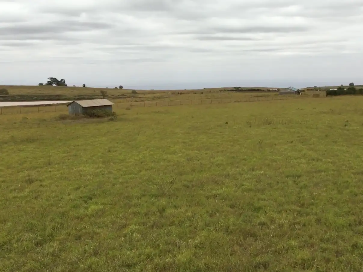 Lent calendar 29 March