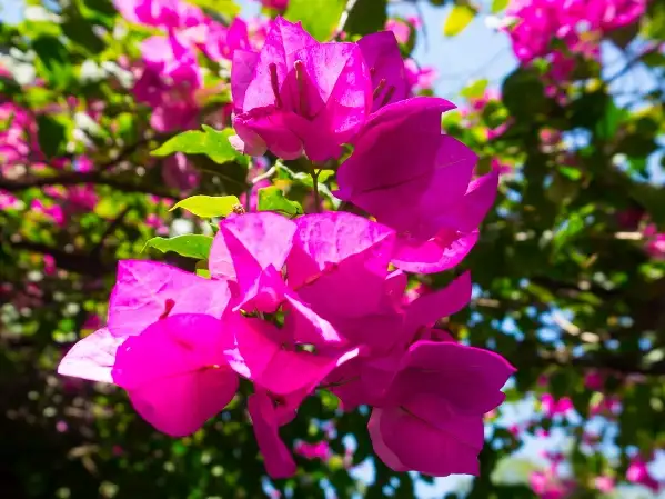 Use our prayer resources