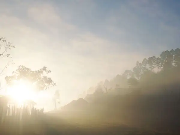 Climate Action Game
