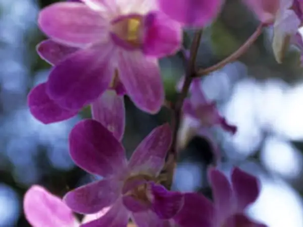 Pentecost Liturgy for secondary schools