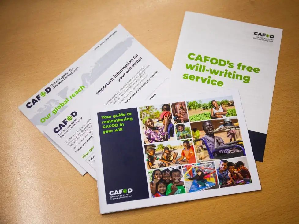 Free Will-writing guide