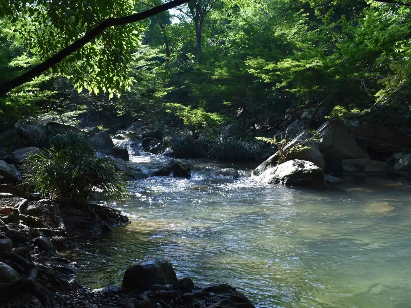 Advent calendar 2024 - 10 December